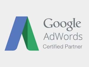 SynapseInteractive – Google AdWords Certified Partner