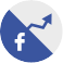 SynapseInteractive – Facebook Marketing